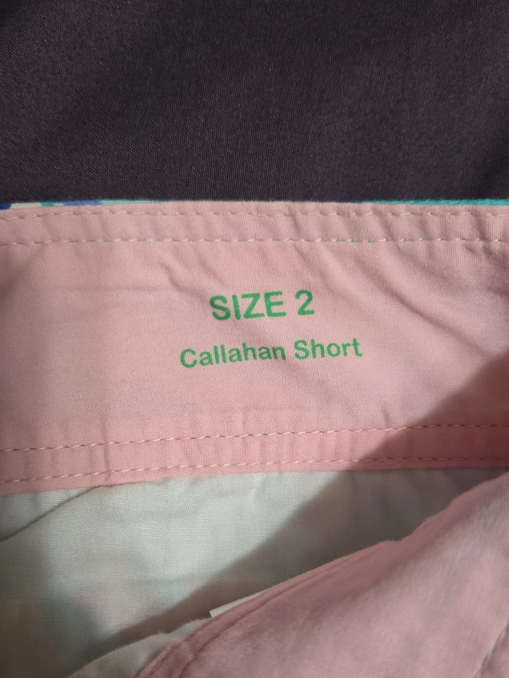 Lilly Pulitzer The Callahan Turquoise Floral Print Shorts Size 2